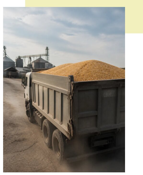 Перевозка сельхозпродукции навалом в Ярославль по цене от 3080 р. | Агросервис-Рсл